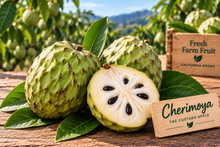 Cherimoya